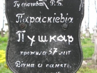 Wierzbica_053