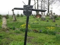 Wierzbica_057