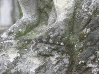 Wierzbica_063