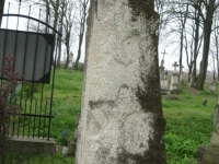 Wierzbica_070
