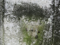 Wierzbica_076