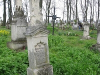 Wierzbica_077
