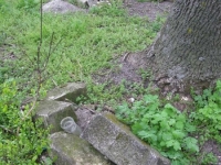 Wierzbica_085