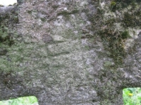 Wierzbica_091