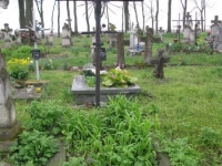 Wierzbica_092