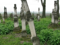 Wierzbica_097