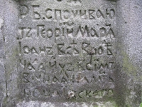 Wierzbica_100