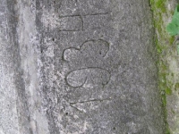 Wierzbica_106