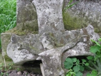 Wierzbica_110