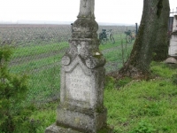 Wierzbica_111