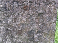 Wierzbica_115