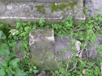 Wierzbica_122