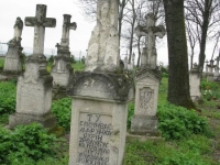 Wierzbica_123