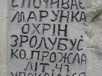 Wierzbica_125