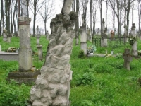 Wierzbica_127
