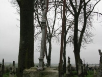 Wierzbica_137