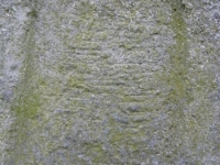 Wierzbica_138