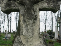 Wierzbica_140