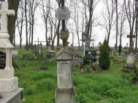 Wierzbica_146