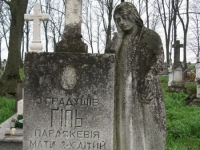 Wierzbica_150