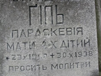 Wierzbica_153