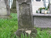 Wierzbica_154