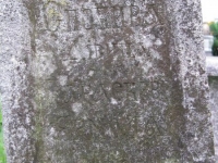 Wierzbica_155