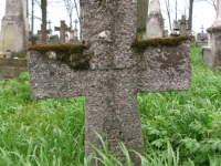 Wierzbica_156