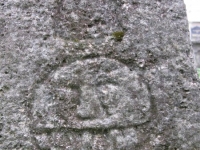 Wierzbica_157