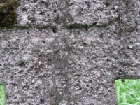 Wierzbica_158
