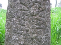 Wierzbica_161