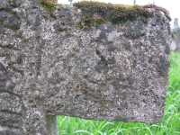 Wierzbica_163