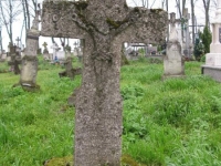 Wierzbica_164