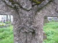 Wierzbica_165