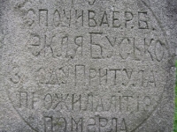 Wierzbica_176