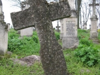 Wierzbica_177