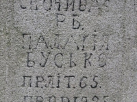 Wierzbica_179