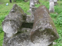Wierzbica_185