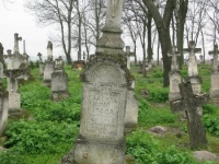 Wierzbica_195