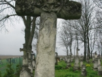 Wierzbica_200