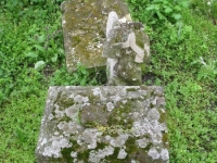 Wierzbica_202