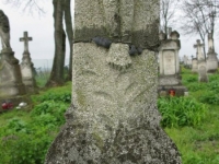 Wierzbica_204