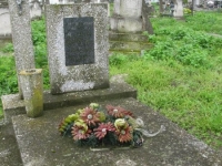 Wierzbica_208