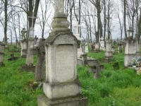 Wierzbica_221