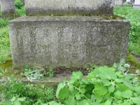 Wierzbica_223