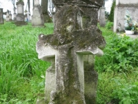 Wierzbica_224