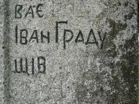 Wierzbica_226