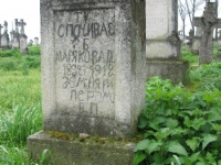 Wierzbica_228