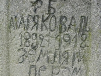 Wierzbica_229
