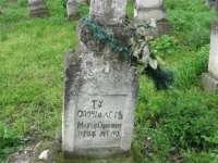 Wierzbica_230